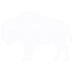 Bison Websites